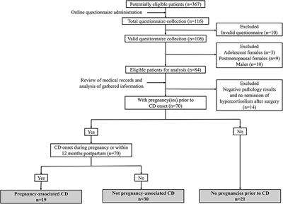 The Incidence of Pregnancy-Associated Cushing's Disease and Its Relation to Pregnancy: A Retrospective Study